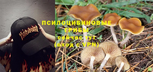 гашиш Богородск