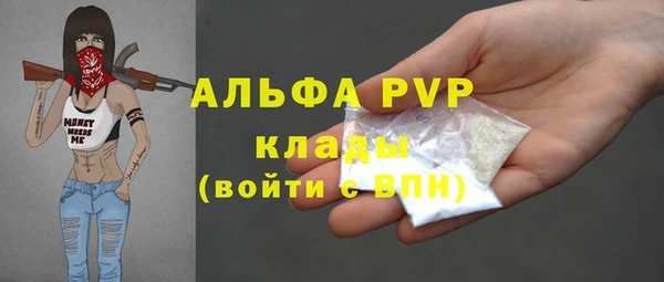 крисы Белоозёрский