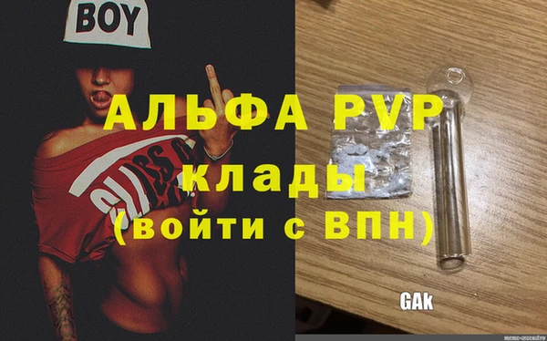 крисы Белоозёрский