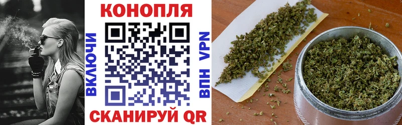 Бошки Шишки план Славгород