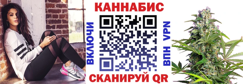 Марихуана конопля  кракен зеркало  Славгород  магазин продажи  